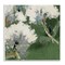 Stupell Industries Green & White Botanicals Wall Plaque Art Design by Liz Jardine